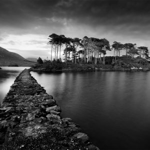 Pine Island, Derryclare Lough, Connemara, Co. Galway, Ireland